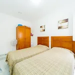 Alegria Id371 * Торевьиа